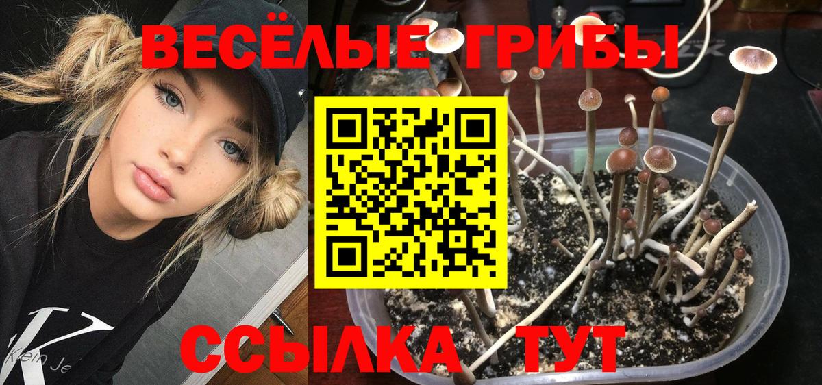 Псилоцибиновые грибы Psilocybe  Галлюциногенные грибы мухоморы  Чусовой  Вход с VPN 