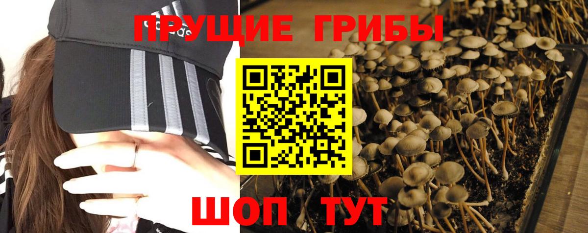 Галлюциногенные грибы мицелий Чусовой